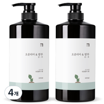 살림백서 오푼티아&밤부 샴푸 유칼립투스향, 1000ml, 4개