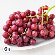 PSK 미국산 적포도, 490g, 6개