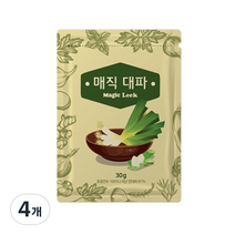매직 대파, 30g, 4개