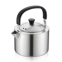 데이세븐 브로즈 304 주전자 인덕션 IH, 혼합색상, 3.5L