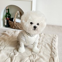 바이담수미 강아지 아기 토끼 나시, 그레이