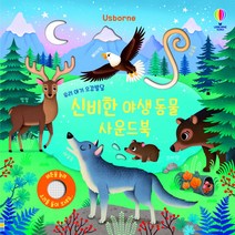 Usborne 우리 아기 오감발달 신비한 야생동물 사운드북, 어스본코리아, 샘 태플린