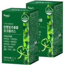 퍼니트 기억력 혈행개선 은행잎추출물 징코플러스 16.5g, 30정, 2개