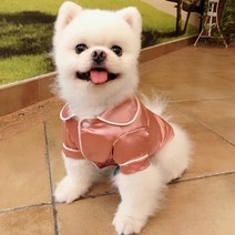 포시럽 반려동물 실크 파자마, 핑크