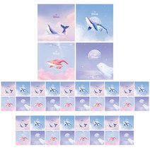 핑크풋 고래 쪼매난 노트 4종 x 10p 세트, 핑크, 퍼플, 블루, 1세트