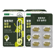 건국유업 혈행개선 징코 솔루션 15g, 30정, 2개
