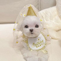레블리 해피 꼬깔모자 세트 메리, 혼합색상, 1개