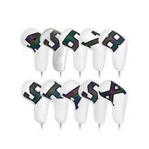 코아이 빅 넘버 NO1 아이언커버 10종세트, 화이트 홀로그램