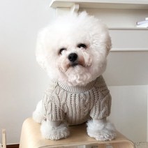 바이담수미 강아지 긴팔 꽈배기 니트, 베이지