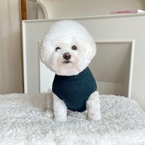 바이담수미 강아지 니트 목폴라 나시, 그린
