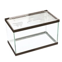 샘아쿠아 뉴프레스 어항, 초코 브라운