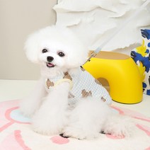파스텔펫 반려동물 곰돌이 누빔 극세사 조끼, 블루