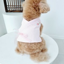 바이굄 반려동물 달보드레 명절 한복 조끼, 분홍