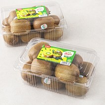 제스프리 점보 그린키위, 1.5kg, 2개