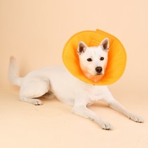 올치 강아지 초경량 디어 방수 넥카라 크림 M, 1개