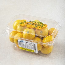 탐라황감 꼬마감귤, 800g, 1팩