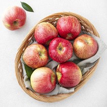 셀렉트팜 꼬마 사과 얌 8~9입, 1개, 1.5kg