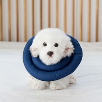 조우니 강아지 넥카라 네이비 소형 S, 1개