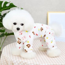 딩동펫 강아지 크레용 아기자기 올인원, 체리곰