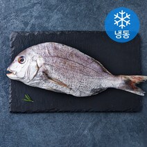 다미원 국내산 반건조 참돔 (냉동), 330g, 1개