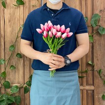 감성맛집 튤립조화 10p, 그라데이션핑크