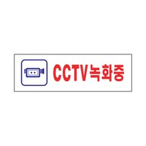 아트사인 250 x 80 x 2 mm, 1개, CCTV녹화중