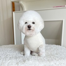 바이담수미 강아지 니트 목폴라 나시, 아이보리