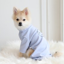 쁘띠도그 반려동물 해피 이모지 올인원 DA028, 파스텔블루