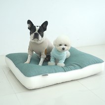 레드퍼피 반려동물 마카롱 메쉬 쿠션, 그린