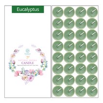올레비엔 향티라이트 15g x 32p, 1개, 유칼립투스
