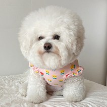 바이담수미 강아지 튤립티셔츠, 핑크