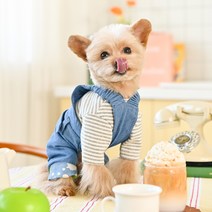 올치 강아지 데님 고무줄 멜빵 청바지 올인원 VPA6257, 스카이블루