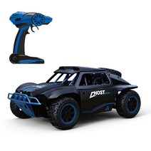 두로카리스마 더블 고스트 RC카 1:18 4WD, 블랙