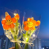 이플린 내맘대로 쓰는 레터링 꽃다발 2p + 펜 + LED 전구 2p 세트, 오렌지(꽃다발), 화이트(펜)