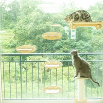 하늘둥둥 고양이 캣타워 투명해먹 대 + 원통스텝 소 + T스텝 세트, 혼합색상, 1세트