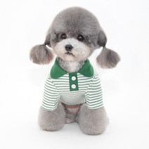 마켓에이 강아지 알록달록 카라 티셔츠, 그린