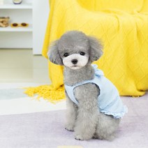 칠시 강아지 체크 리본 프릴 나시, 블루