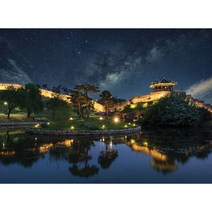 애드원퍼즐 환상적인 야경의 수원화성 퍼즐, 혼합색상, 1000피스
