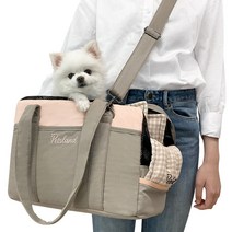 펫츠랜드 반려동물 컴포어 이동 가방 + 이너 쿠션 세트, 핑크베이지