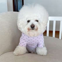 바이담수미 강아지 꽃내복 티셔츠, 퍼플