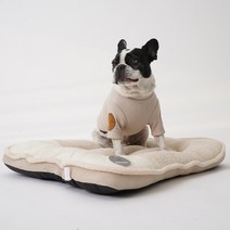 반려동물 올레뜨 사각방석, BEIGE