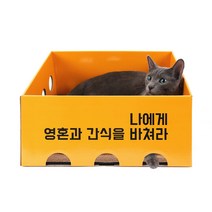 주식회사리우 고양이 노리노리캣 스크래쳐 박스, 오렌지, 1개