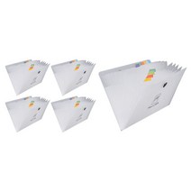 ABM 반투명 12분류 A4 파일, 혼합색상, 5개