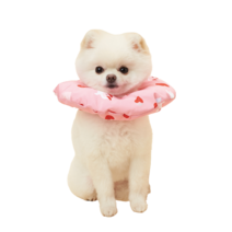 반려동물 쿠션 넥카라 어피치 M, 1개
