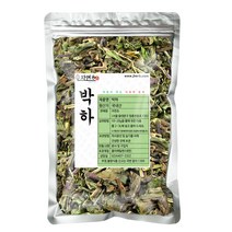 자연초 박하차, 100g, 1개