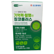 코오롱제약 [코오롱제약]기억력 혈행엔 징코플러스, 30정, 2박스