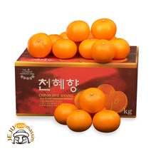 현가원 서귀포 천혜향 10kg (벌크포장/70과 내외/실중량), 단품