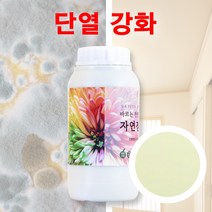 천연 단열 벽지 페인트 자연정원 곰팡이 결로 방지 베란다 규조토 친환경 1.5kg 초보자도 바르기 쉬운, 그린