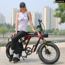 AKEZ 20인치 산악 전력 바이사이클 전동 EM테라바이트 부드러운테일 클래식 팻바이크, 단일 배터리 48V 750W 18AH, 그린