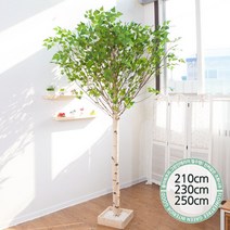 실내인테리어 인조나무 123종 / 플트 조화나무 C, C05.기본Y자형 자작나무 250cmK/사방형, 1개